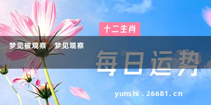 梦见被观察 梦见观察